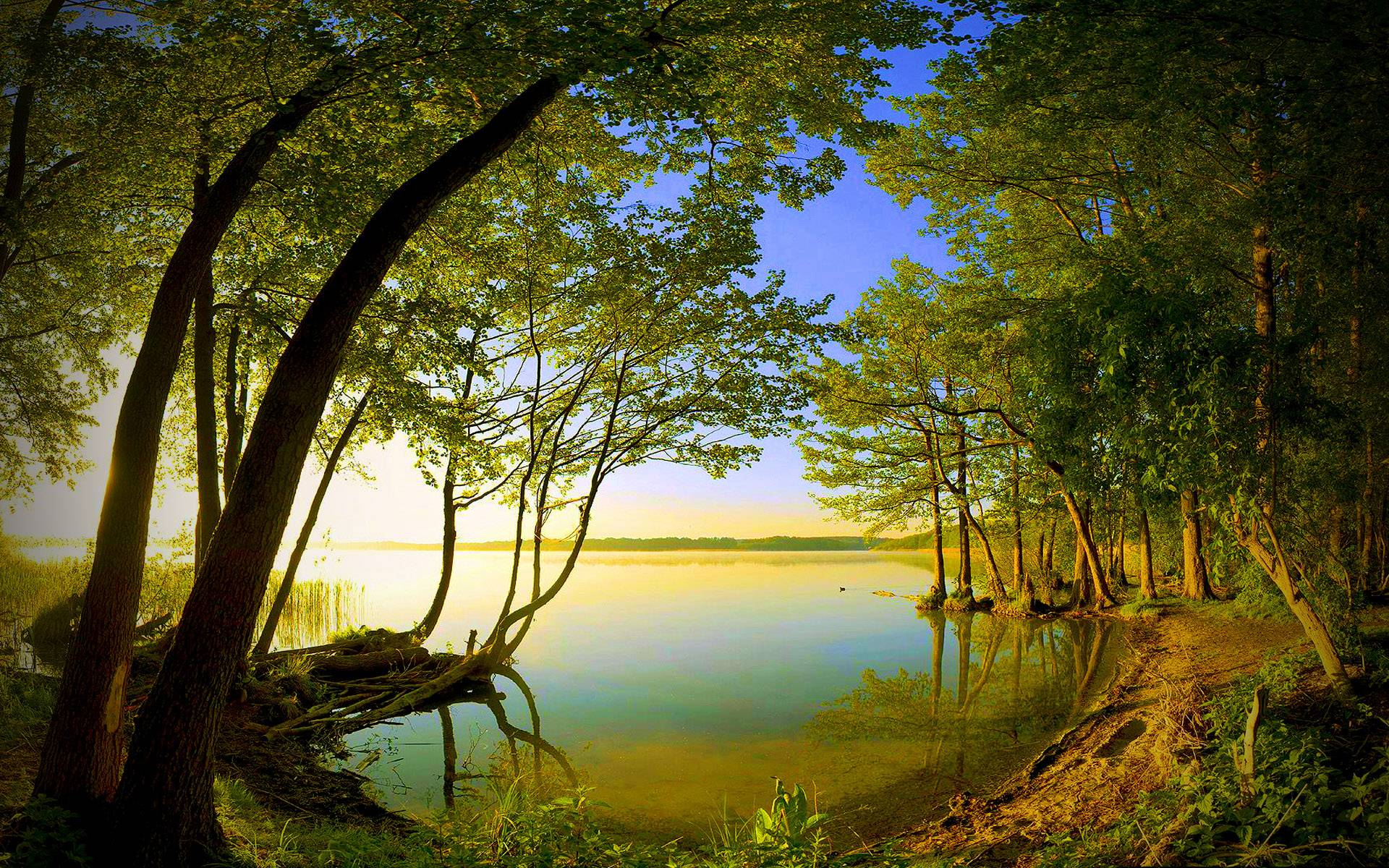 Beautiful Lake and Nature Image wallpaper