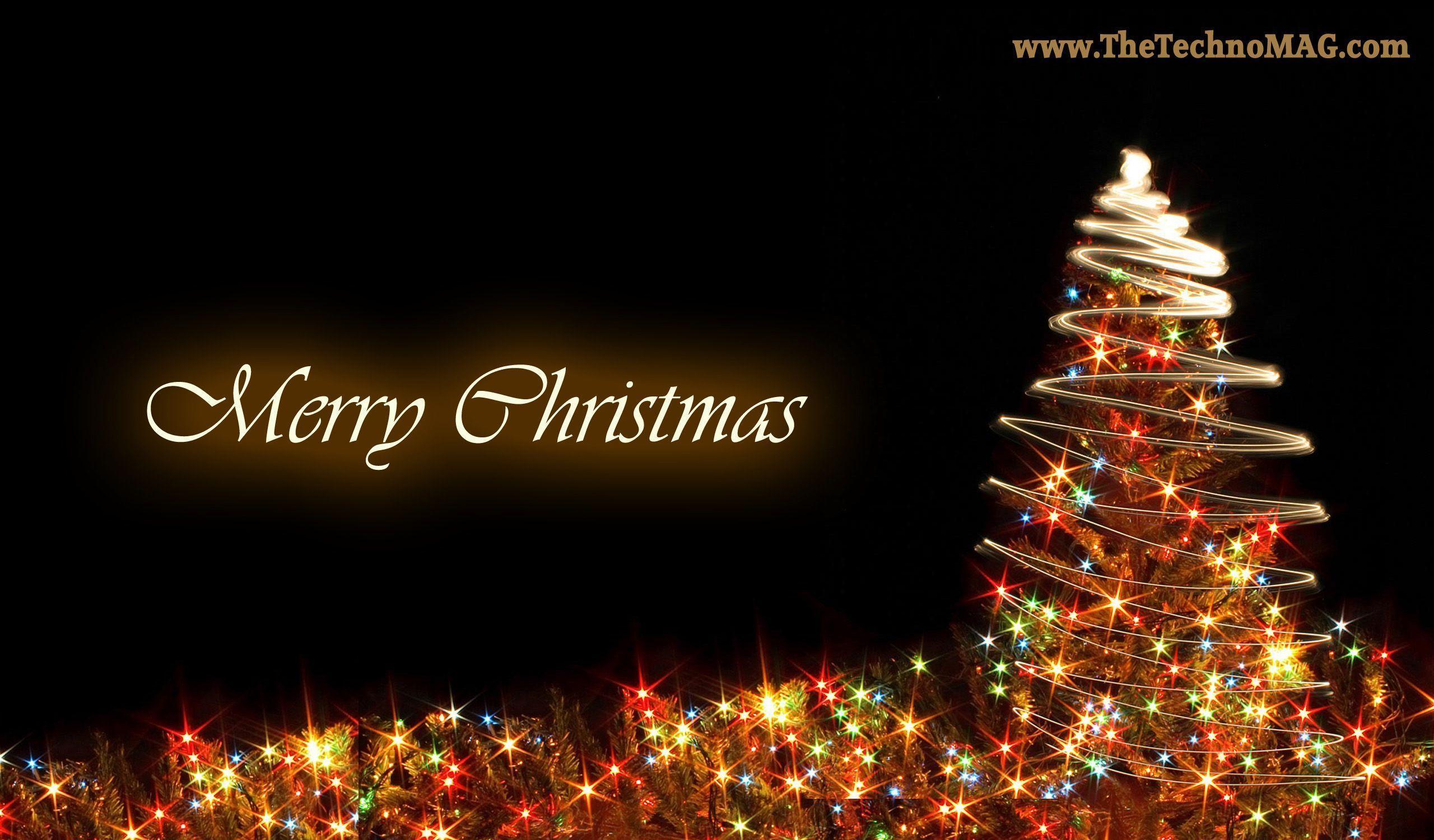 Two Christmas Tree HD Background Wallpaper taken from Merry