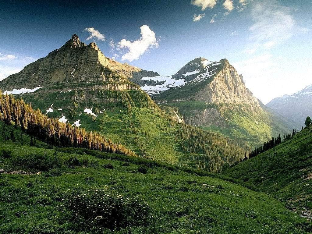 Mountain Meadow Image Desktop Wallpaper
