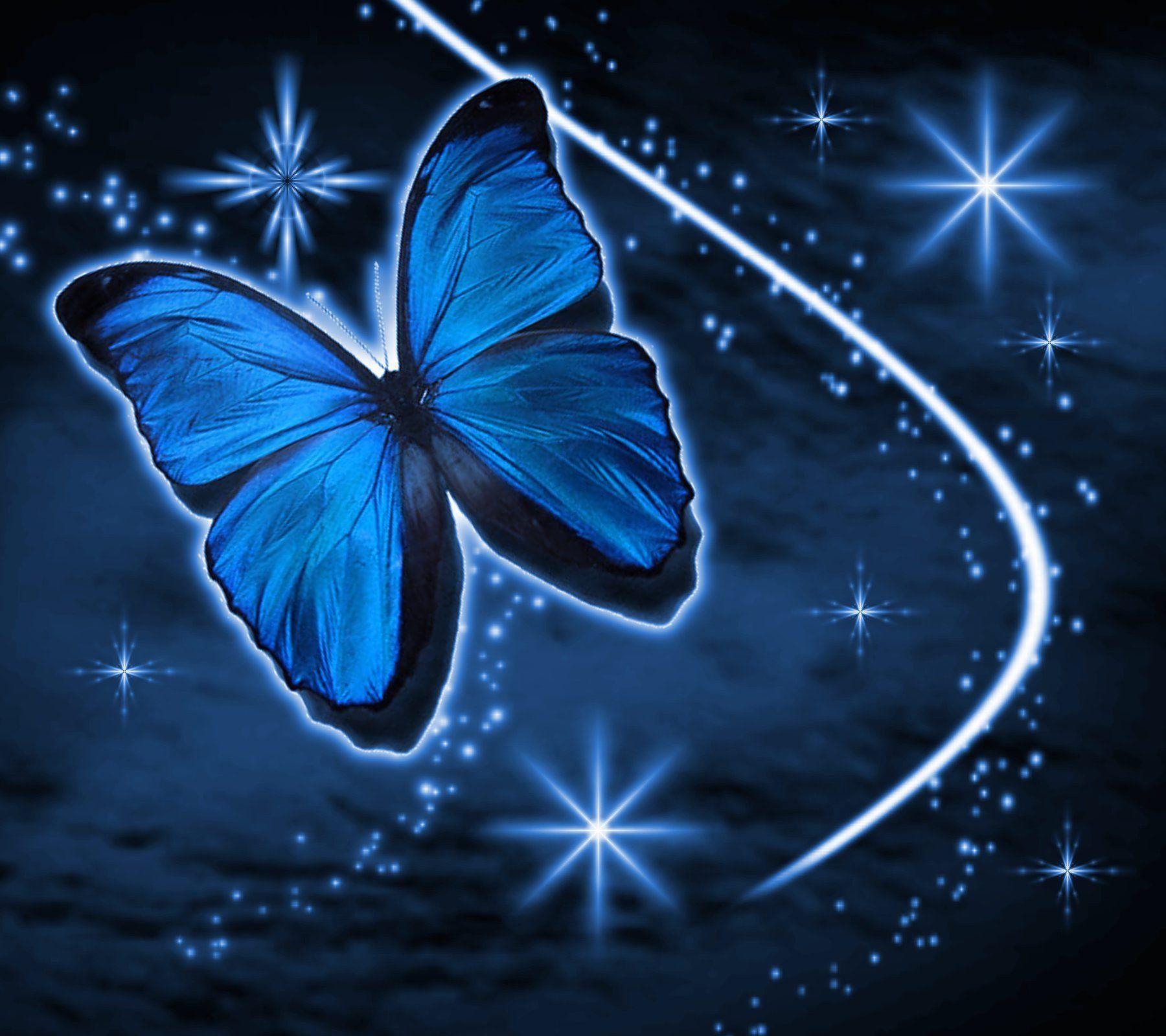 Blue Butterfly Background Image & Picture
