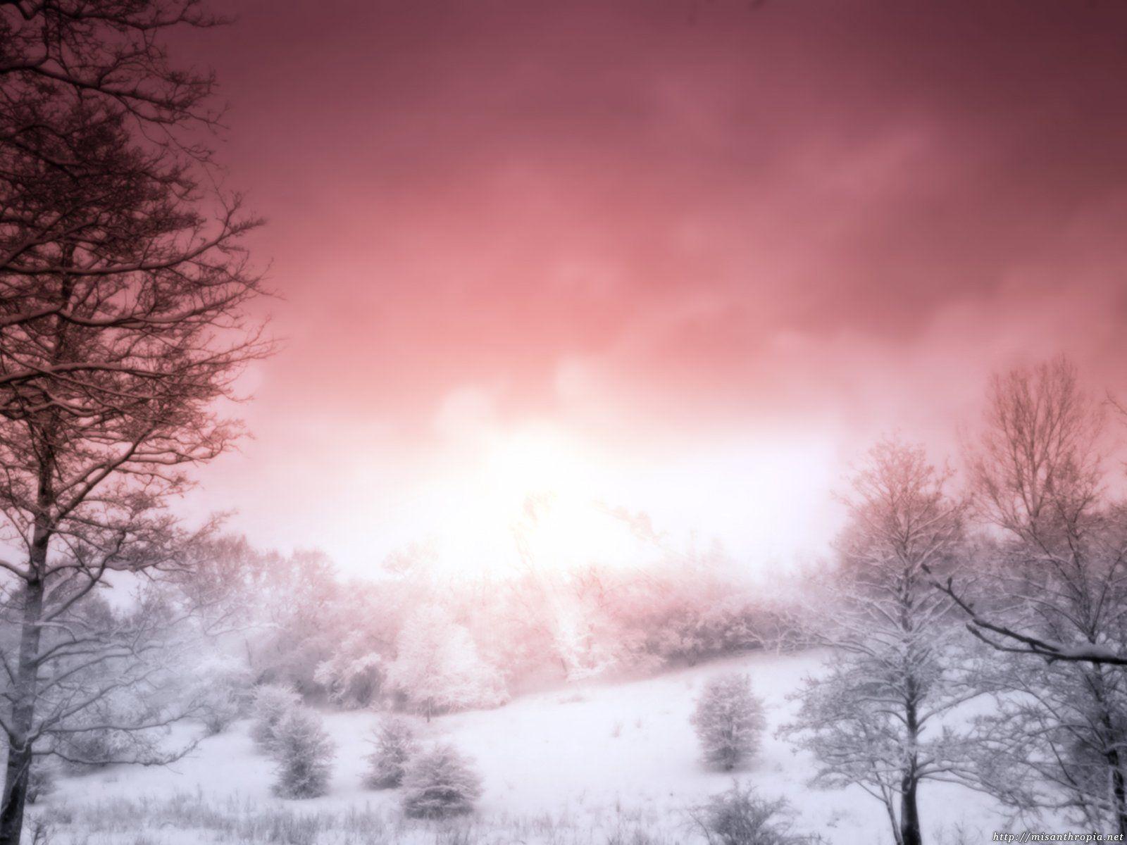 Wallpaper For > Pink Nature Background