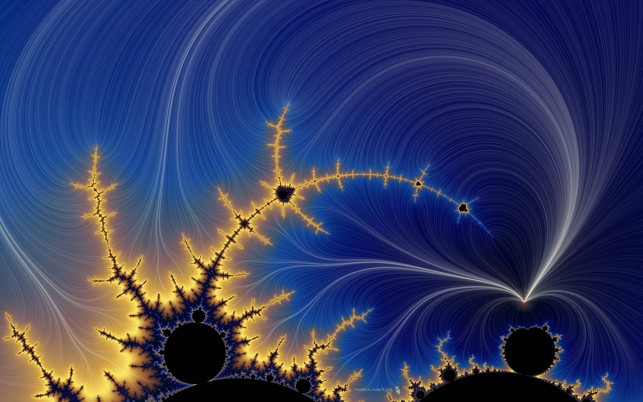 image For > Fractals In Nature Wallpaper