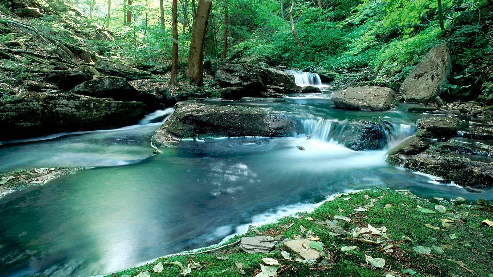 beautiful nature desktop wallpaper