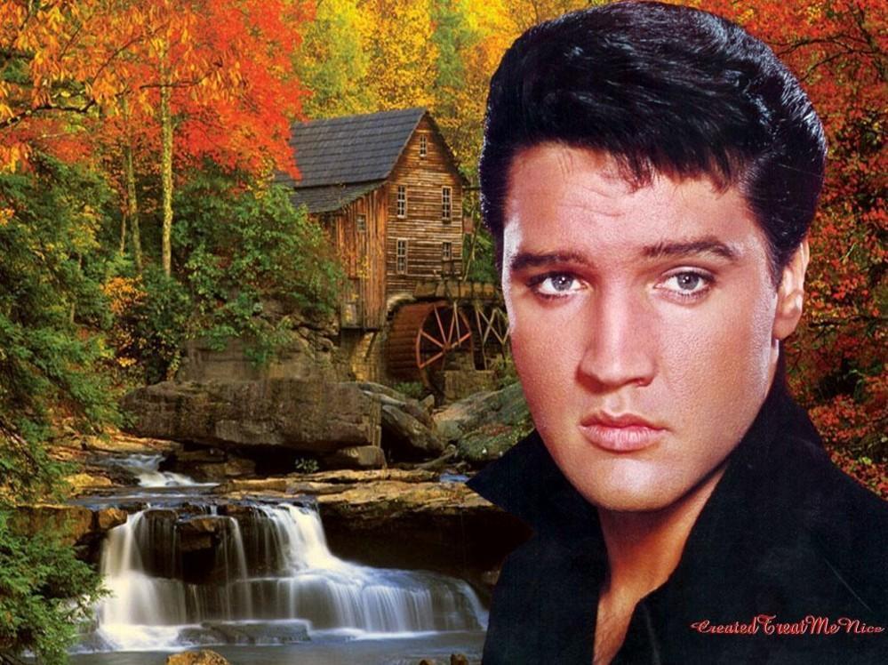 Elvis WallPapers! Presley Photo