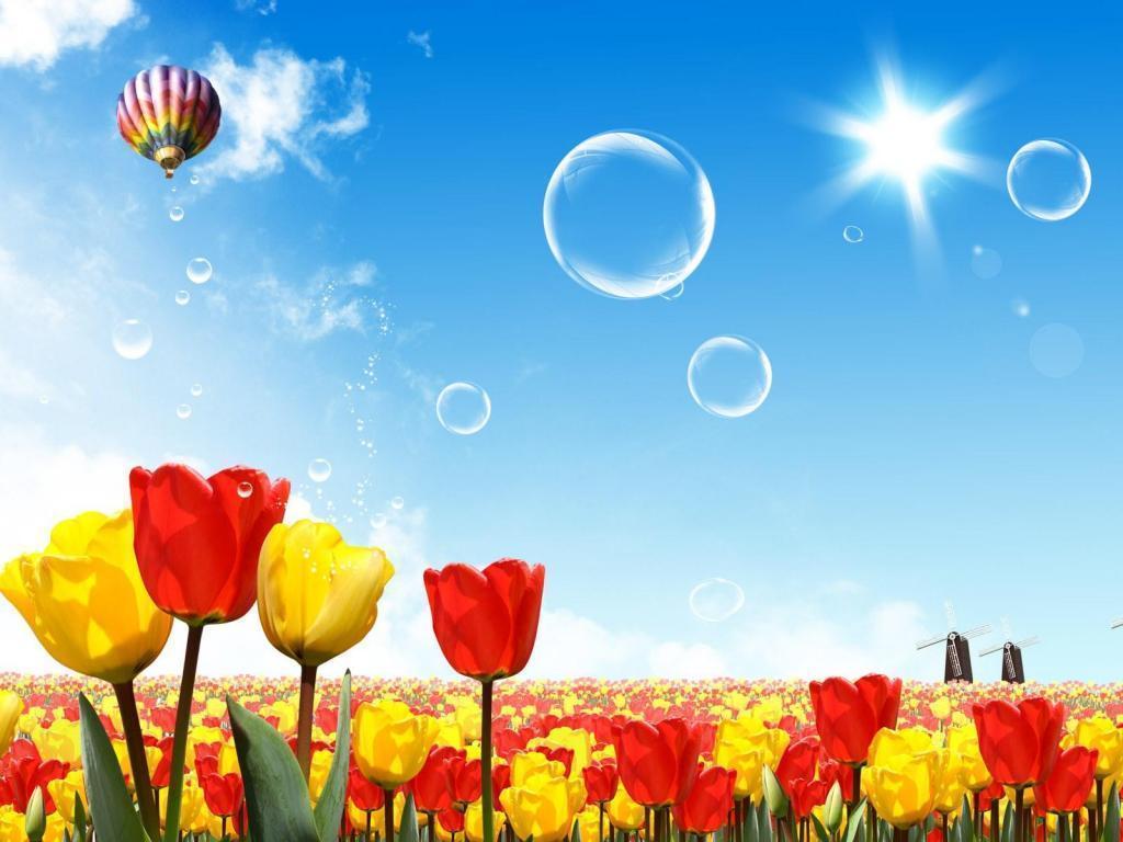 Summertime Wallpaper