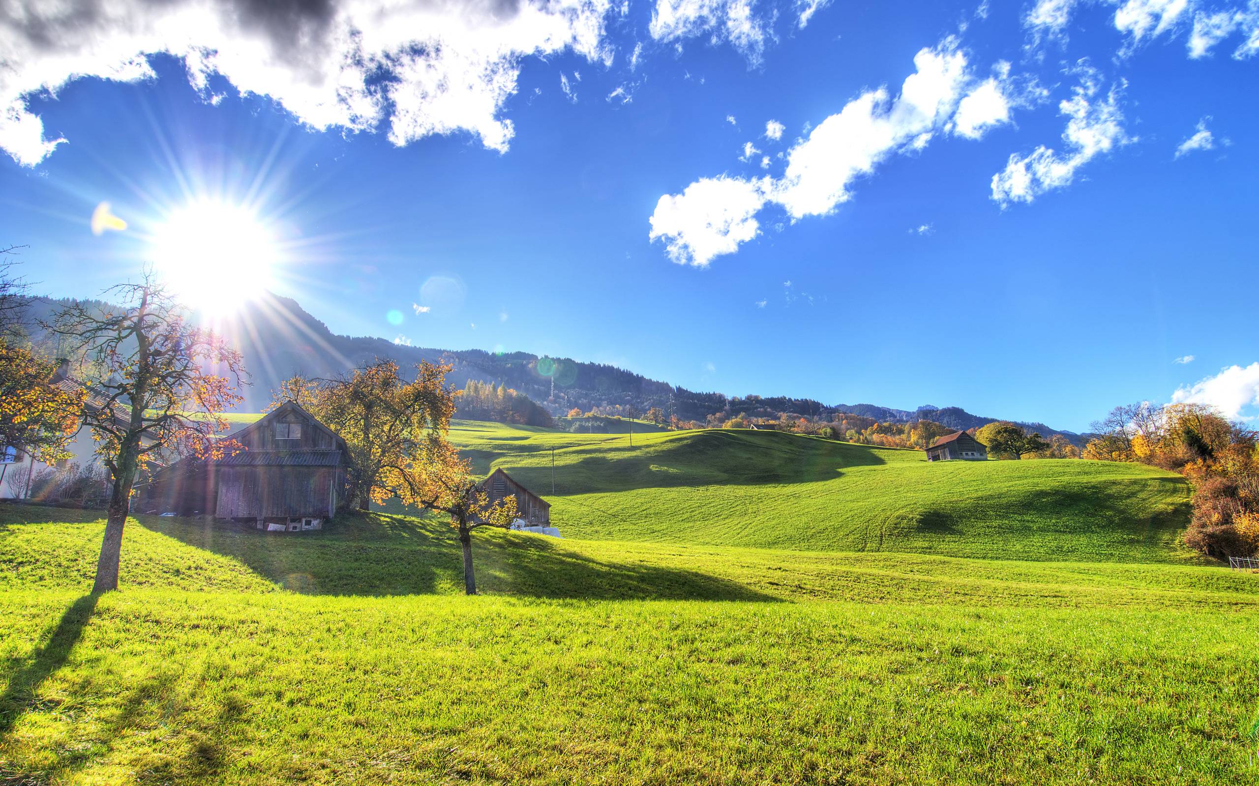 Sunny Autumn Day in the Country widescreen wallpaper. Wide