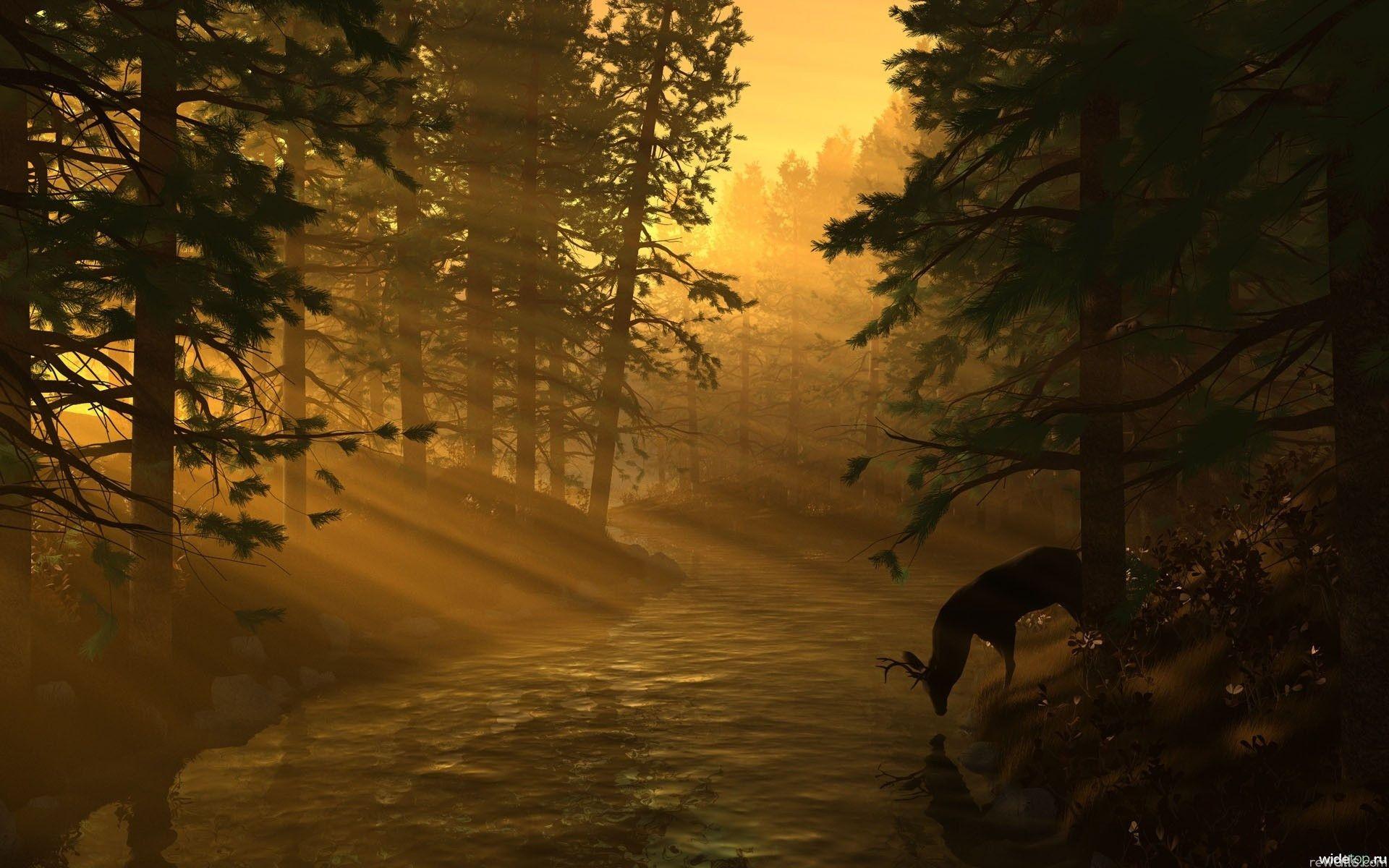 Download wallpaper forest, dawn, river, Deer free desktop