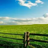 Meadow Wallpapers
