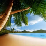 Caribbean Wallpapers