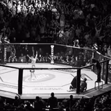 Mixed Martial Arts Wallpapers