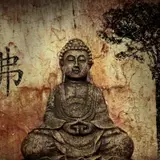 Buddha Wallpapers