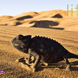 Discovery Channel Wallpapers