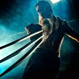 Wolverine Wallpaper HD