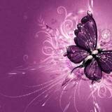 Wallpapers Butterflies