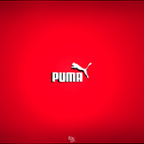 Puma Wallpapers