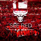 Chicago Bulls Wallpaper HD 2017