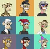 Bored Ape Yacht Club Wallpapers