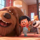 The Secret Life Of Pets 2 Liam Wallpapers