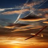 Gliding Wallpapers