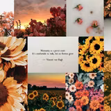 Sunflower Collage Laptop Wallpapers