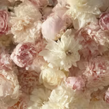 Beige And Pink Flowers Wallpapers