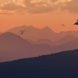 Game Of Thrones 4k PC Wallpapers