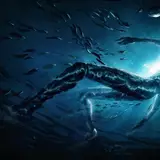 2560x1664 Wallpapers