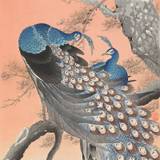 Ohara Koson Wallpapers