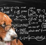 Math Dogs Wallpapers