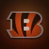 Cincinnati Bengals Wallpapers