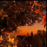Fall At Night Wallpapers