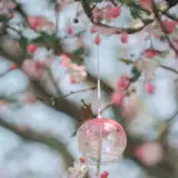 Furin Wallpapers