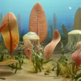 Cambrian Wallpapers