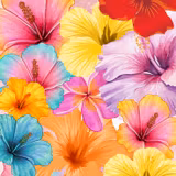 Hibiscus Collage Wallpapers