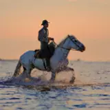 Horse Riding Wallpapers