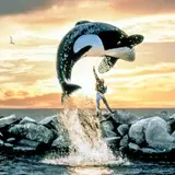 Free Willy Wallpapers