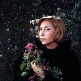 Clarice Lispector Wallpapers