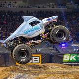 Monster Mutt Wallpapers