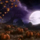 1920x640 Wallpapers