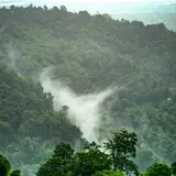Rainforest Wallpapers