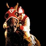 Seabiscuit Wallpapers