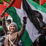 Free Gaza Movement Wallpapers