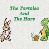 The Tortoise And The Hare Wallpapers
