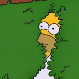 Homer Simpson Bush Wallpapers