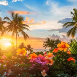 Tropical Sunset Flower Wallpapers