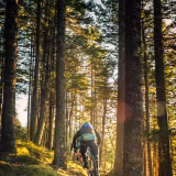 MTB Artwork Wallpapers