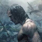 Tarzan Wallpapers