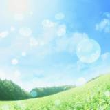 Environment Wallpapers