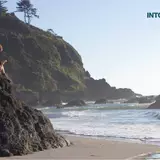 Into The Wild Wallpapers