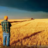 Farmer Wallpapers